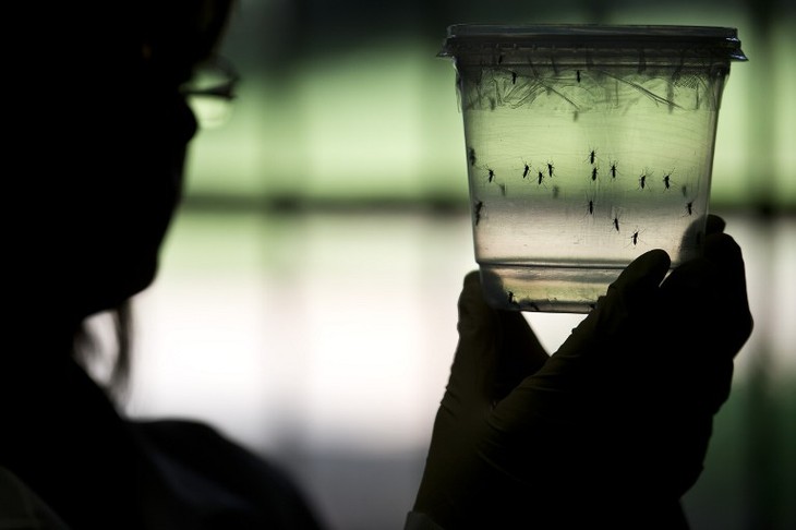 Premier décès lié au virus Zika sur le sol américain - ảnh 1